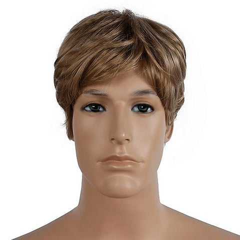 Bargain Men's Wig