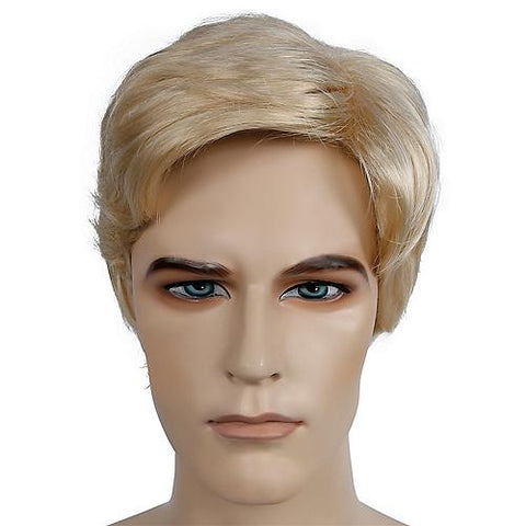 Bargain Men's Wig | Horror-Shop.com