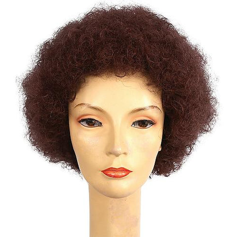 Bargain Afro Wig | Horror-Shop.com