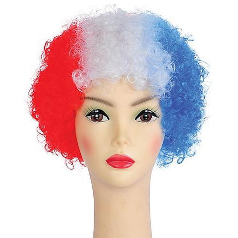 Bargain Afro Wig | Horror-Shop.com