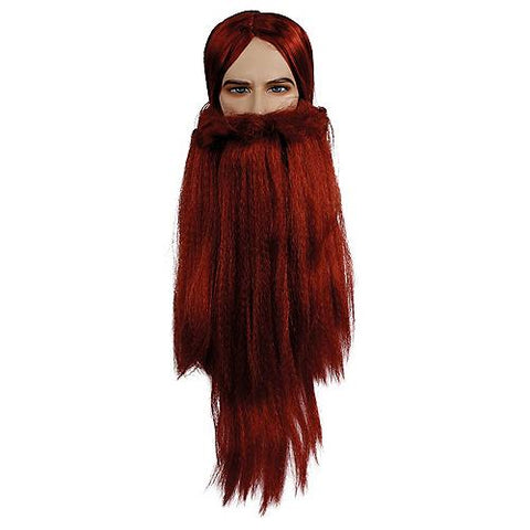 Wizard Wig & Beard Set