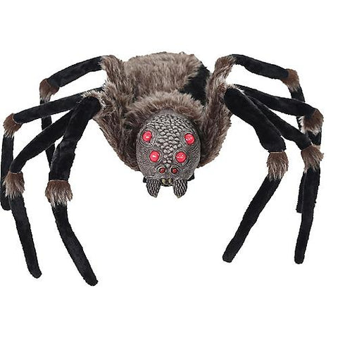 53" Light-Up Black Spider