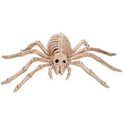 spider-skeleton