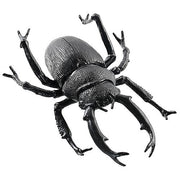 8-black-beetle