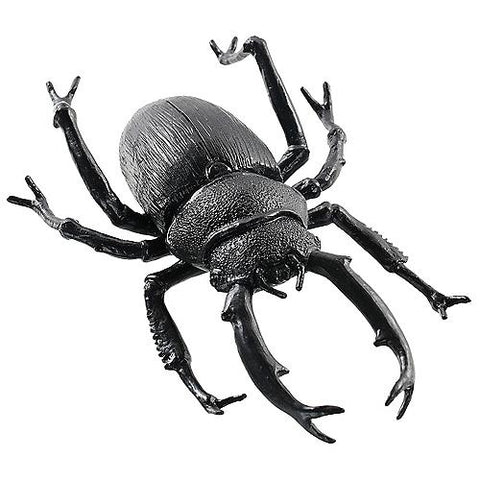 8" Black Beetle