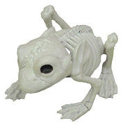 frog-skeleton