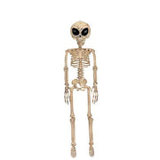 alien-skeleton-bone-color-37in