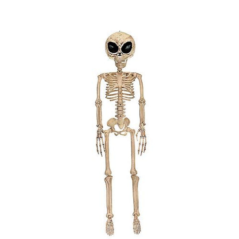 ALIEN SKELETON BONE COLOR 37IN