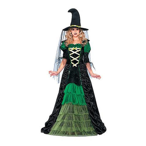 Women's Storybook Witch Costume